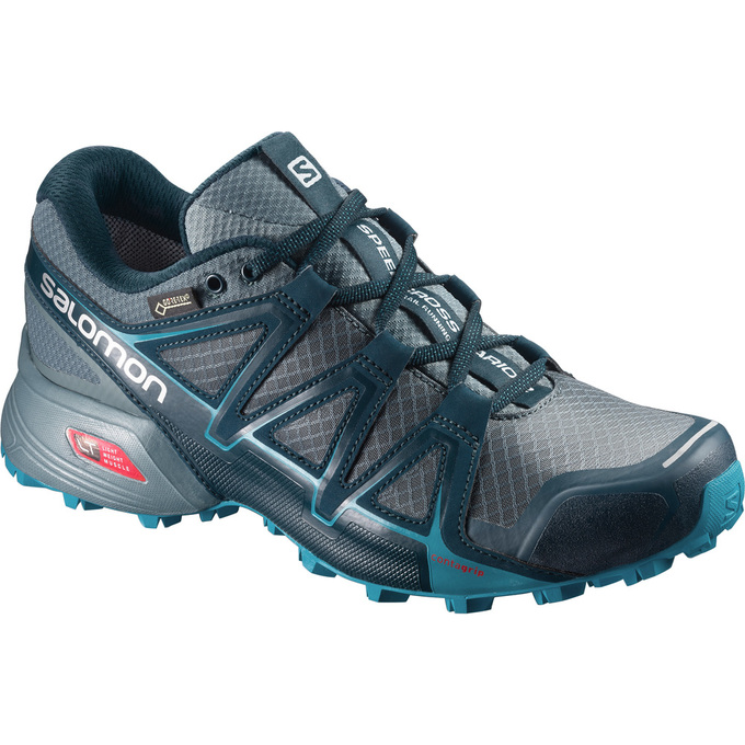 Buty Do Biegania W Terenie Damskie Salomon SPEEDCROSS VARIO 2 GTX® W - Srebrne - Polska (053-XMYSGO)